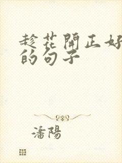 趁花开正好唯美的句子