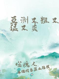 亚洲又粗又黄又猛又爽