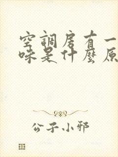 空调房有一股怪味是什么原因