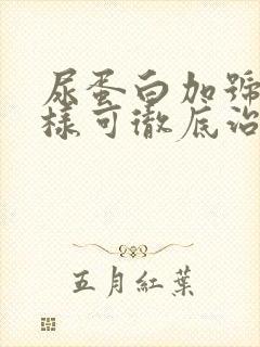 尿蛋白加号怎么样可彻底治疗