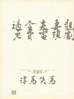 适合夫妻观看的免费电视剧全集