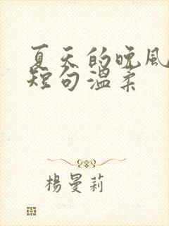 夏天的晚风文案短句温柔