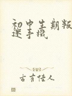 初中生期叛逆沉迷手机