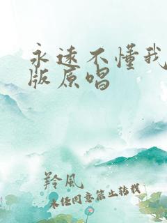 永远不懂我dj版原唱