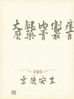 大腿内侧痒用什么药膏最有效