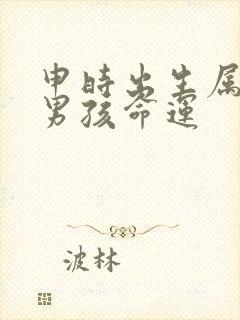 申时出生属虎的男孩命运