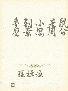 梦到小老鼠是什么意思周公解梦