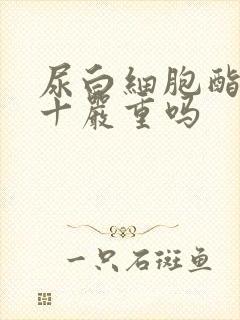 尿白细胞酯酶3十严重吗