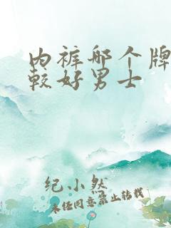 内裤哪个牌子比较好男士