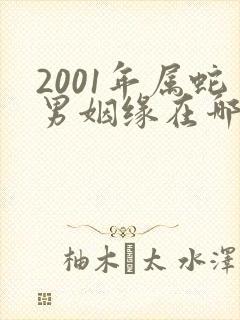 2001年属蛇男姻缘在哪年