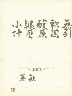 小腿酸软无力是什么原因引起的