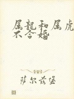 属龙和属虎的合不合婚