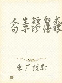 人生短暂感悟的句子珍惜眼前人