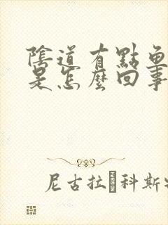 阴道有点鱼腥味是怎么回事