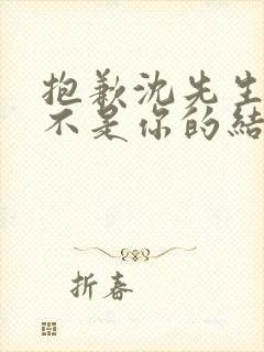 抱歉沈先生孩子不是你的结局