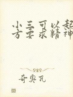 小三可以起诉男方要求精神损害赔偿