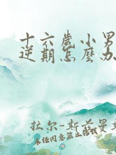 十六岁小男孩叛逆期怎么办