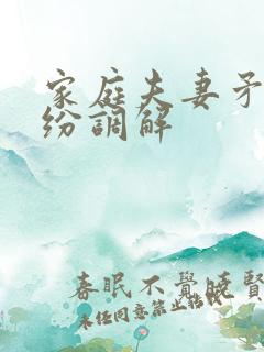 家庭夫妻矛盾纠纷调解