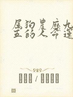 属狗农历九月十五的人命运