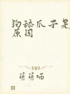 狗舔爪子是什么原因