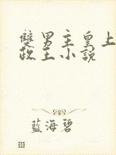 双男主皇上和摄政王小说