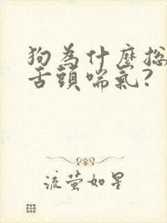 狗为什么总伸着舌头喘气?