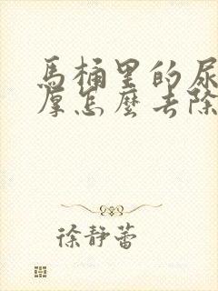 马桶里的尿垢很厚怎么去除