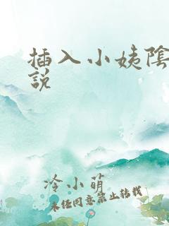 插入小姨阴道小说