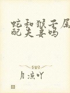 蛇和猴子属相能配夫妻吗