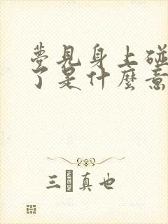 梦见身上碰到屎了是什么意思