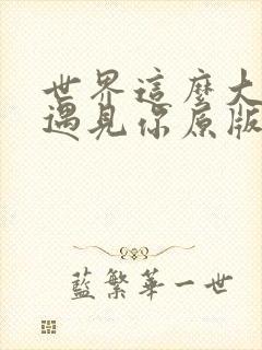 世界这么大还是遇见你原版