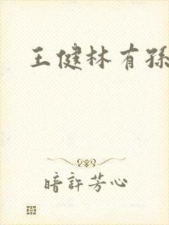 王健林有孙子吗