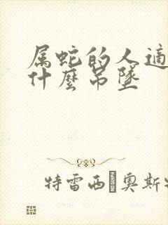 属蛇的人适合戴什么吊坠