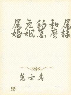 属兔的和属马的婚姻怎么样