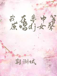 我在梦中等着你原唱dj女声版