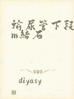 输尿管下段6mm结石