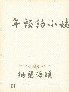 年轻的小姨韩剧