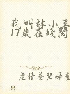 我叫林小喜今年17岁在线阅读