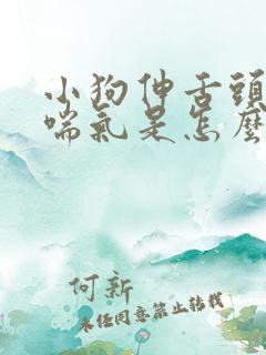 小狗伸舌头哈哈喘气是怎么回事