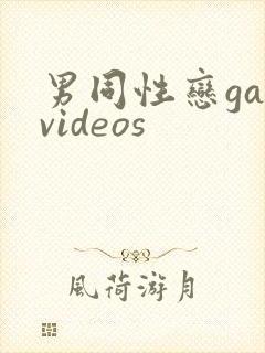 男同性恋gayvideos