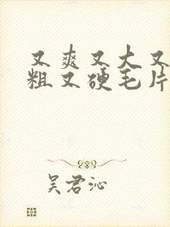 又爽又大又长又粗又硬毛片