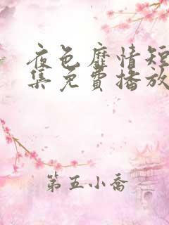 夜色靡情短剧全集免费播放第26集