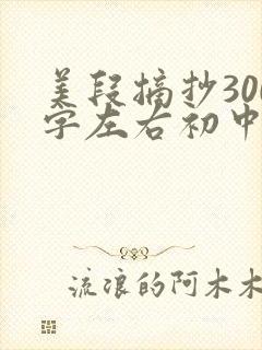 美段摘抄300字左右初中