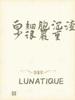 白细胞沉渣高多少很严重