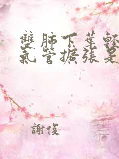 双肺下叶轻度支气管扩张是什么意思