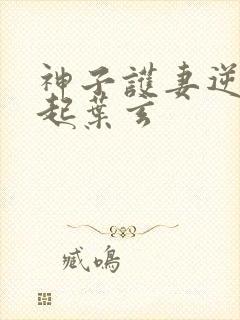 神子护妻逆天崛起叶玄