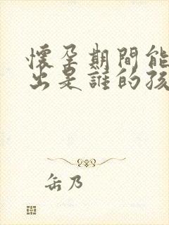 怀孕期间能检查出是谁的孩子吗?