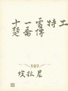 十一处特工皇妃楚乔传