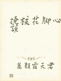 挠校花脚心的小说