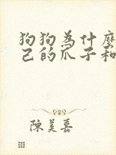 狗狗为什么舔自己的爪子和毛